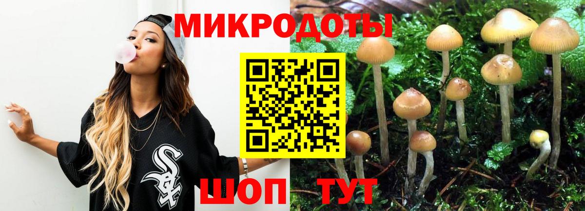 Мыски  Псилоцибиновые грибы мицелий  Вход с VPN 
